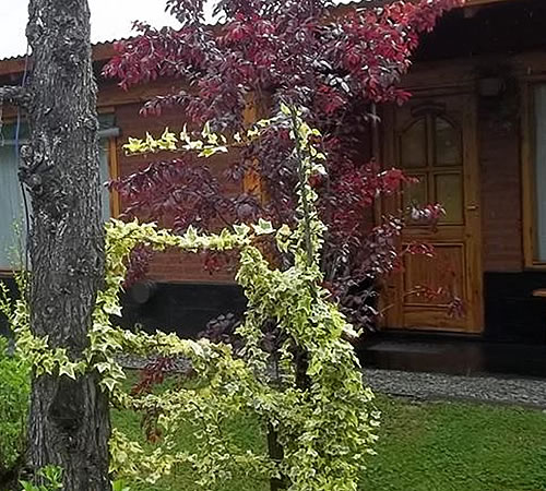 Cabañas Melin
